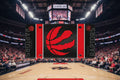 Toronto Raptors Metal License Plate